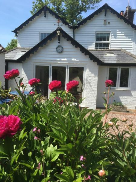 Wishing Well Cottage Wilmington (Sussex) Exterior foto